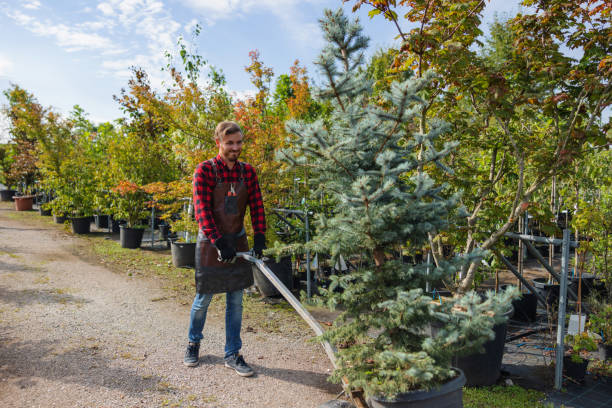 Best Commercial Tree Services  in Spinnerstown, PA